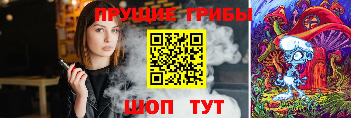 Волоколамск  Галлюциногенные грибы MAGIC MUSHROOMS  Вход с VPN  Галлюциногенные грибы Cubensis 